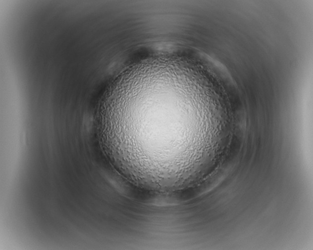 X0000116110369200911301127