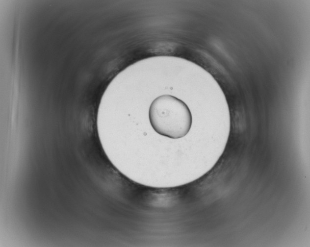 X0000116110370200911301127