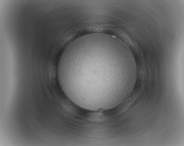 X0000116110374200911301128