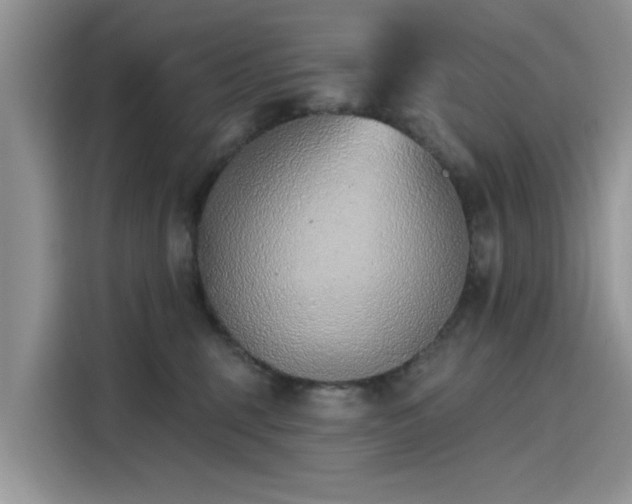 X0000116110375200911301128