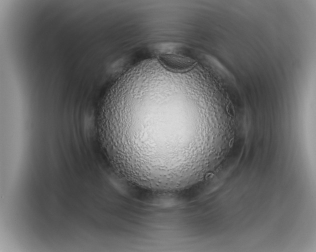 X0000116110377200911301128