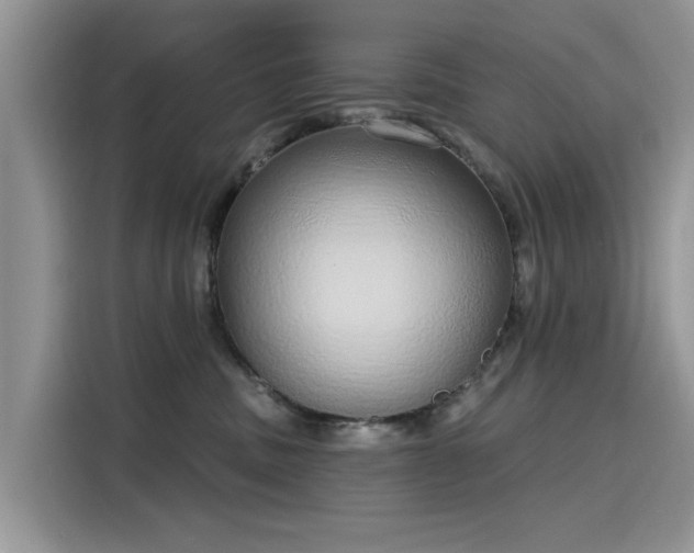 X0000116110379200911301128