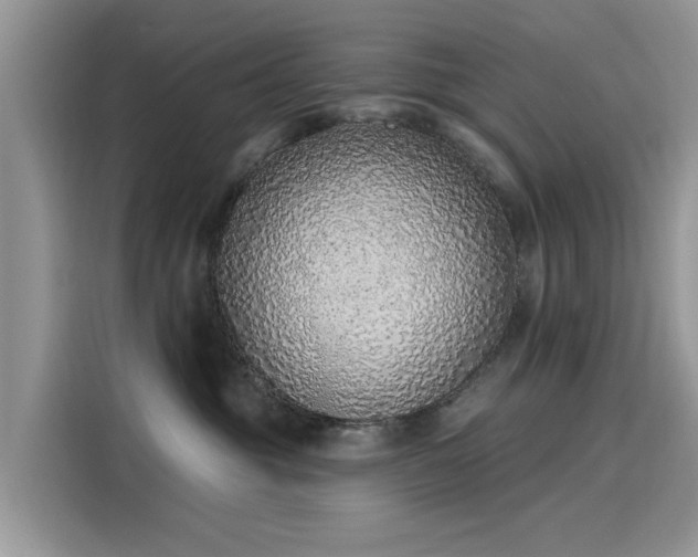 X0000116110381200911301128