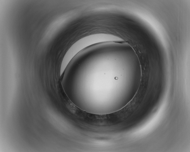 X0000116110382200911301128