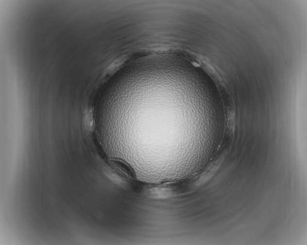 X0000116110383200911301128