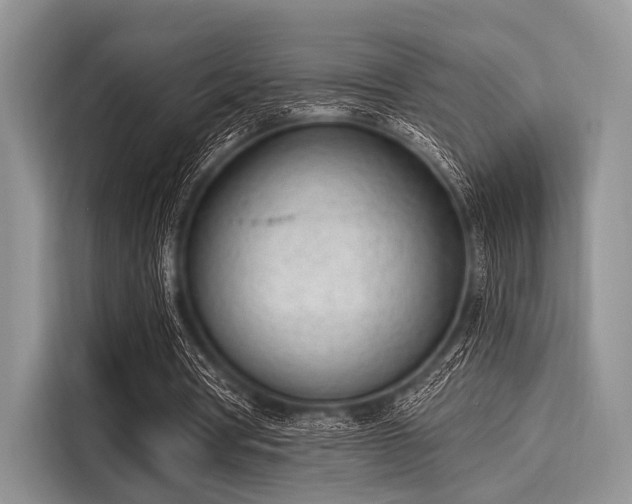 X0000116110386200911301127