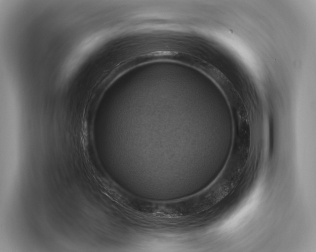 X0000116110387200911301127