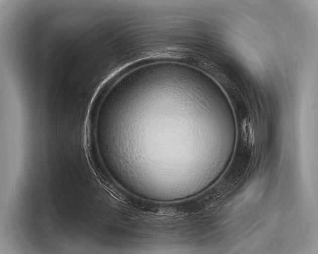 X0000116110388200911301127