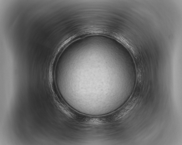 X0000116110390200911301127