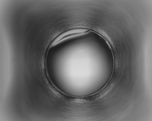 X0000116110393200911301127