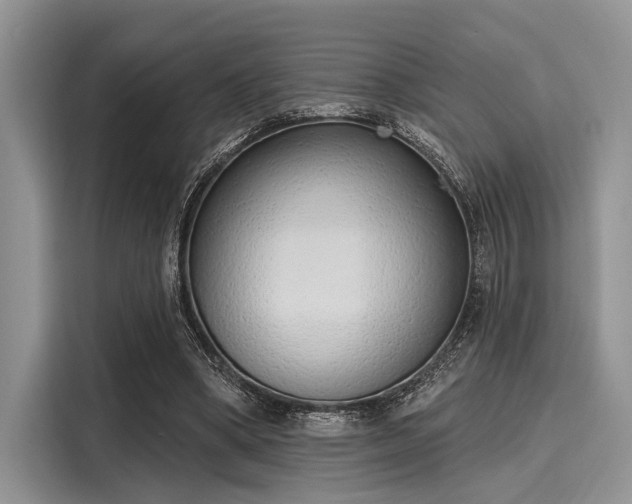 X0000116110394200911301127