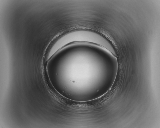 X0000116110395200911301127