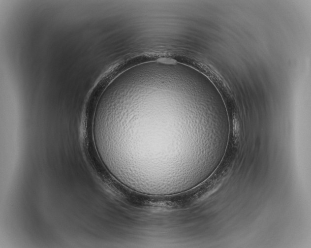 X0000116110396200911301127