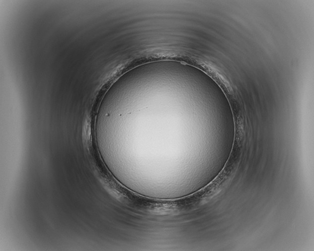 X0000116110398200911301127