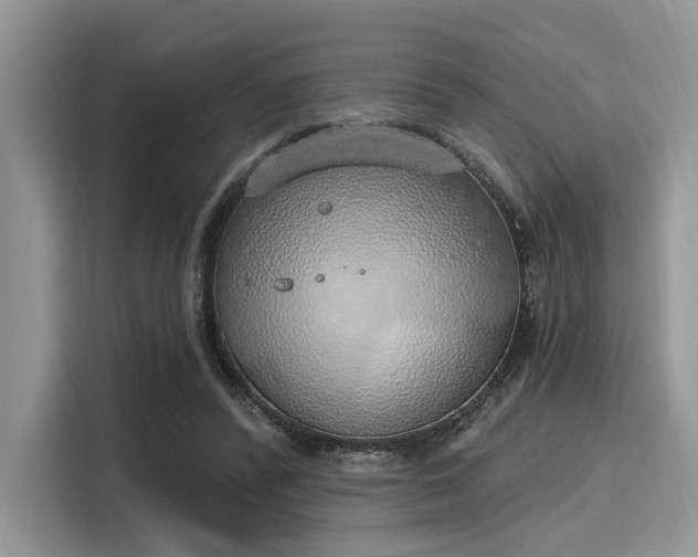 X0000116110400200911301127