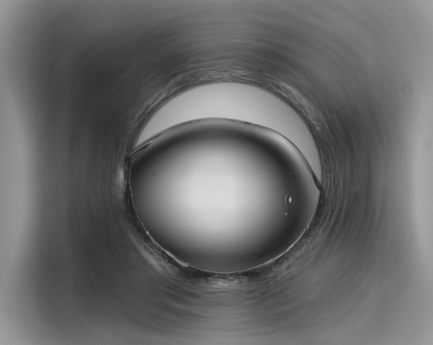 X0000116110405200911301127