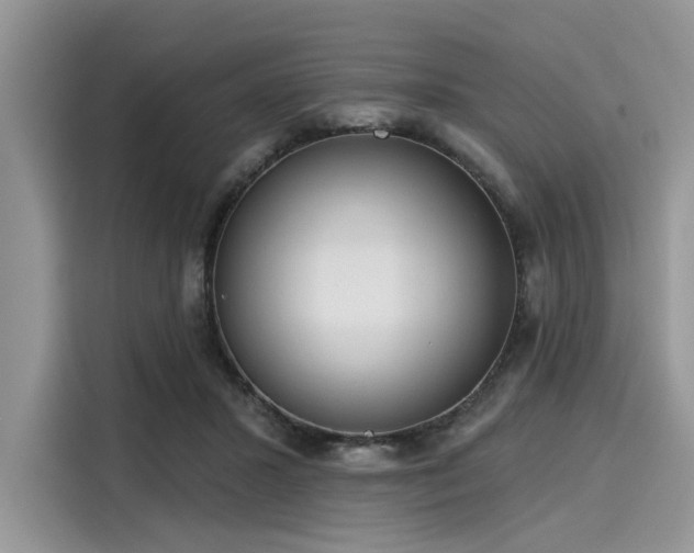 X0000116110407200911301127