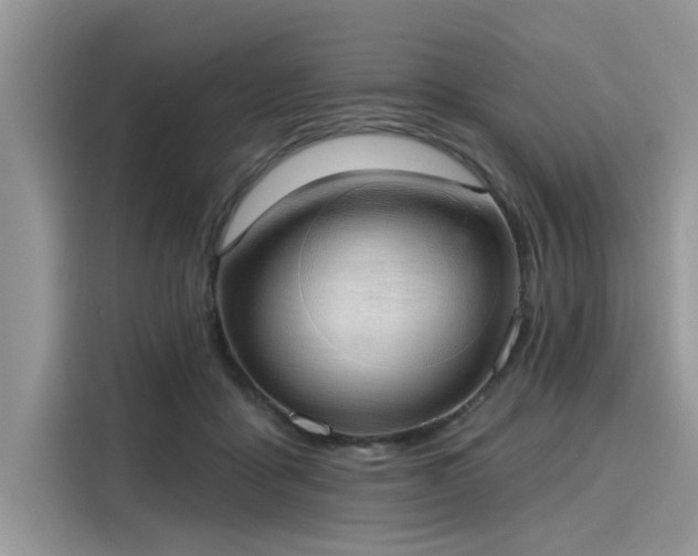 X0000116110411200911301127