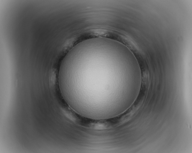 X0000116110412200911301127