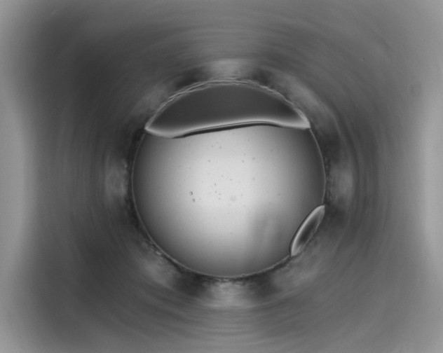 X0000116110413200911301127