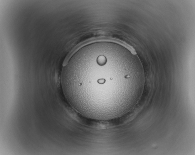 X0000116110420200911301127