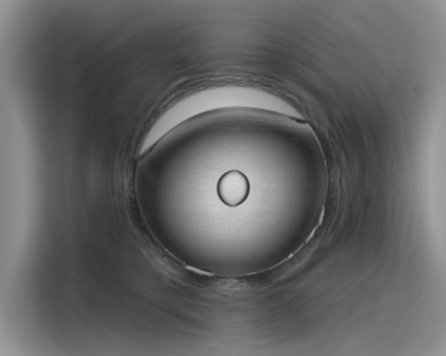 X0000116110421200911301127