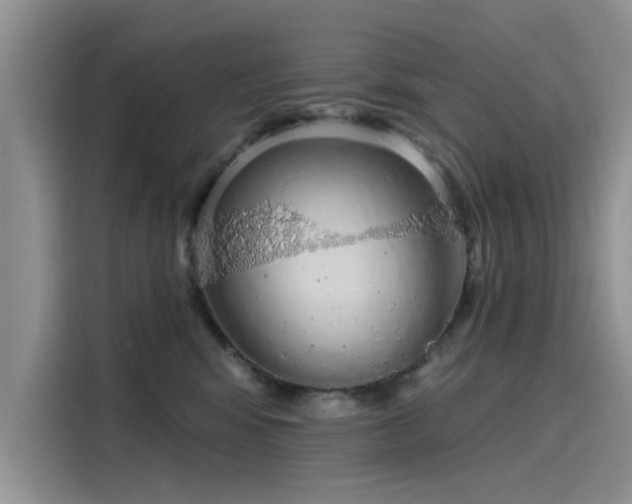 X0000116110424200911301127