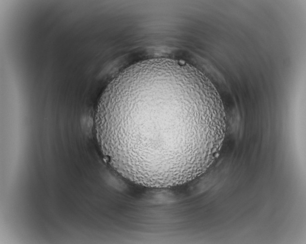 X0000116110427200911301127