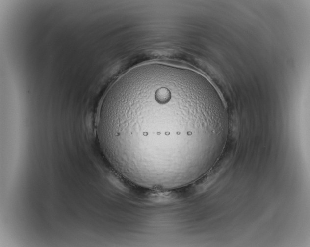 X0000116110428200911301126