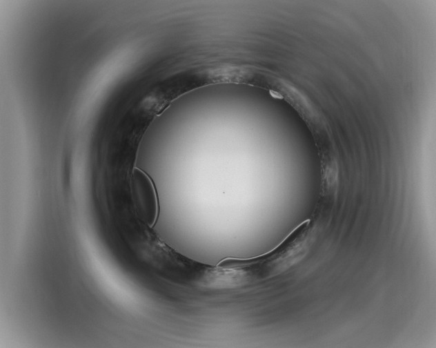 X0000116110429200911301126