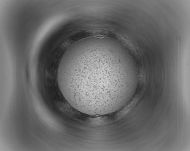 X0000116110430200911301126