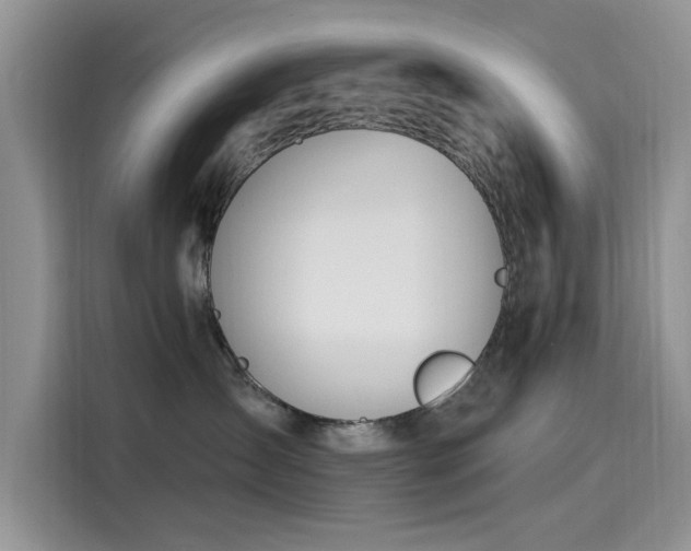 X0000116110431200911301126