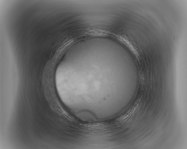 X0000116110433200911301126