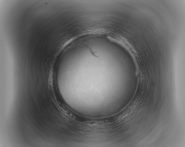 X0000116110434200911301126