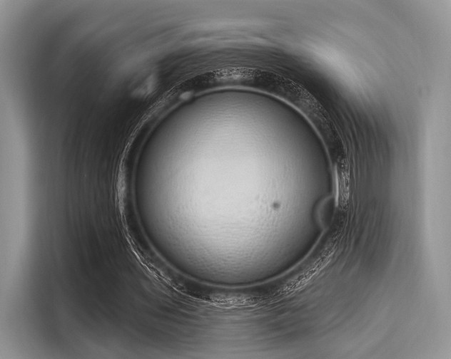 X0000116110435200911301126