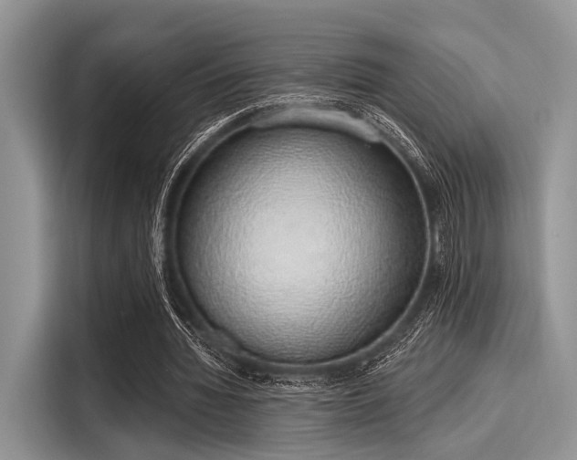 X0000116110436200911301126