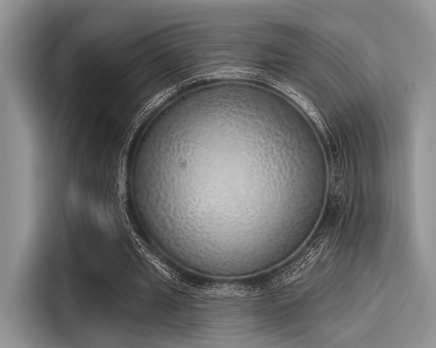 X0000116110437200911301126