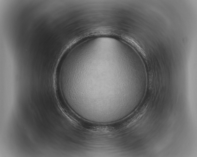 X0000116110439200911301126