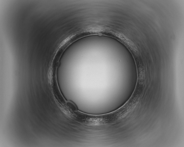 X0000116110440200911301126