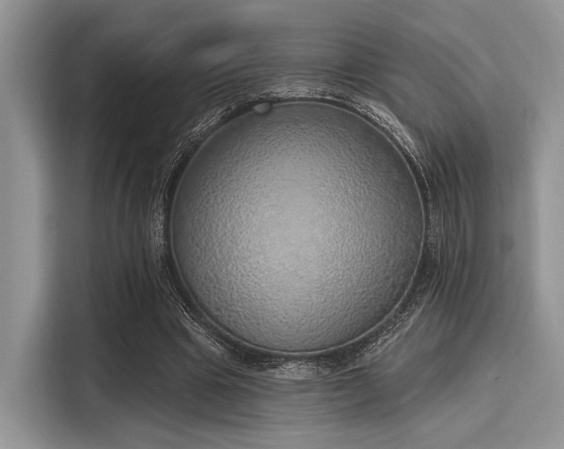 X0000116110441200911301126