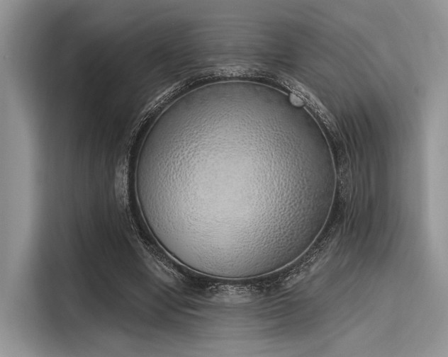 X0000116110442200911301126