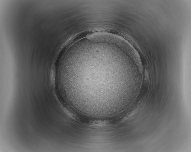 X0000116110444200911301126