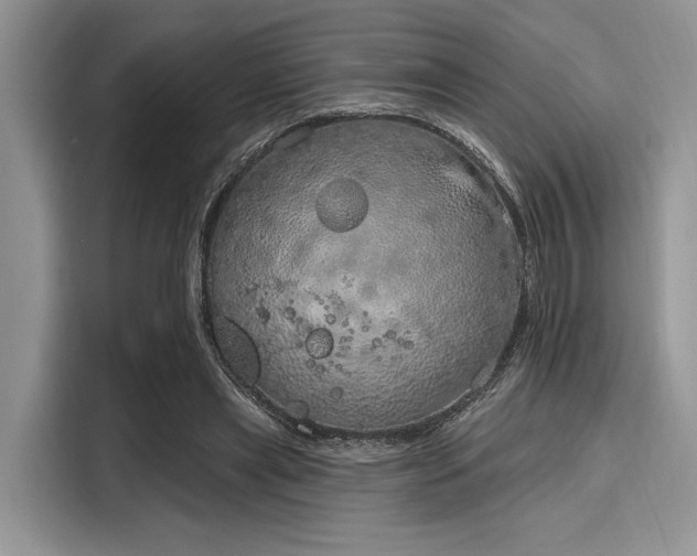 X0000116110445200911301126