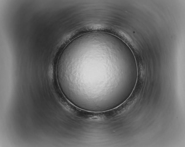 X0000116110447200911301126