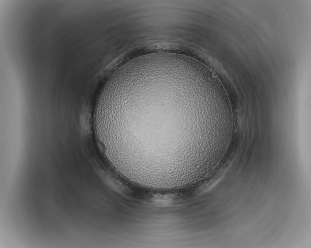 X0000116110450200911301126