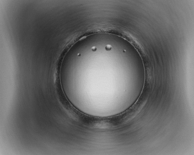 X0000116110451200911301126