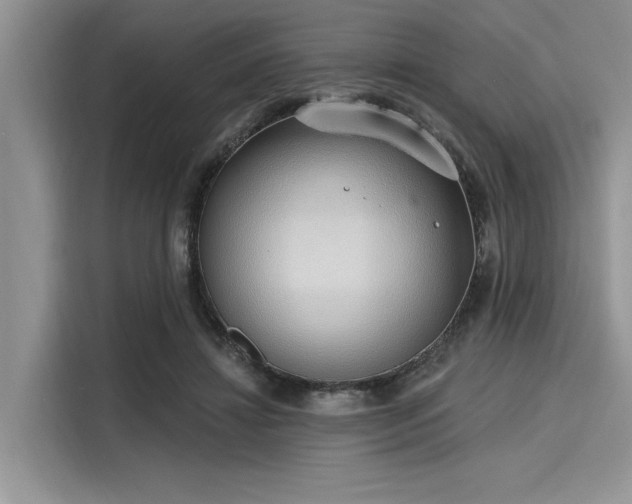 X0000116110452200911301126