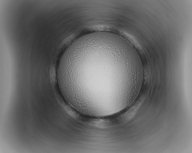 X0000116110453200911301126