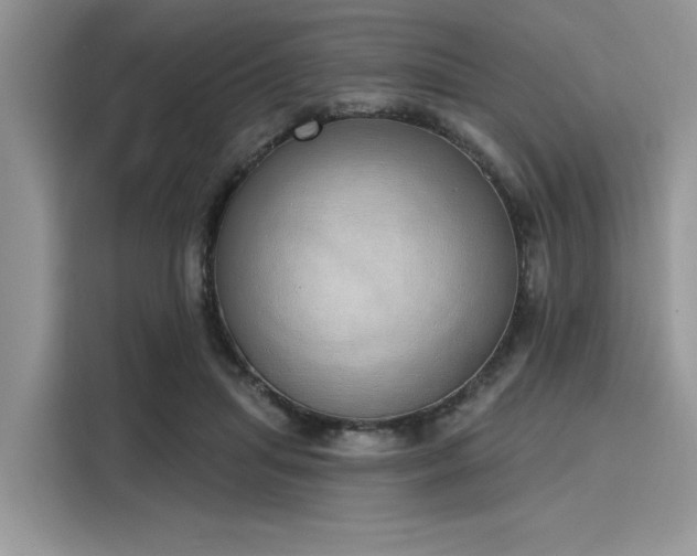 X0000116110455200911301126