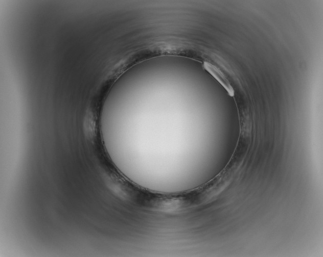 X0000116110456200911301126